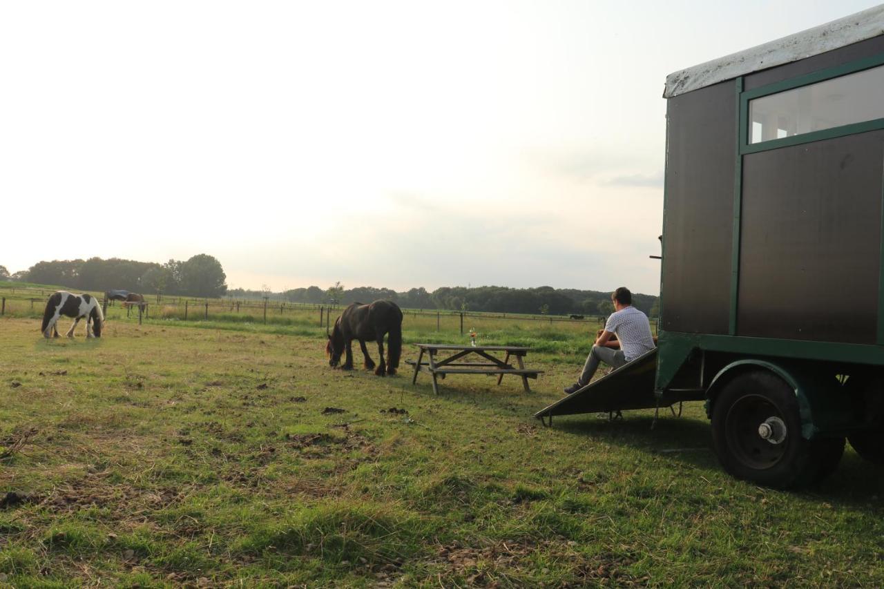 Slapen Tussen De Paarden Otel Essen Dış mekan fotoğraf